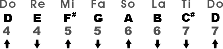 Major Scale in the Key of D